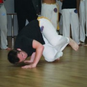 Wilkasy 2005