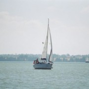 Wilkasy 2005