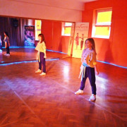 Mini Show Dance 5.12.2015