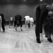 DNI OTWARTE- JAZZ DANCE- BASIA WOJCIUK