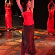 Pokaz Flamenco, fot.T.Świtała