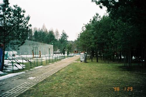 Zdjęcie